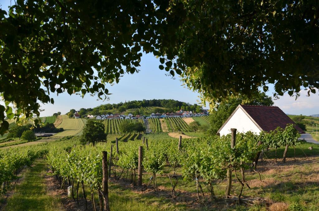 Ferienwohnung Herrmann Pottenhofen Exteriér fotografie
