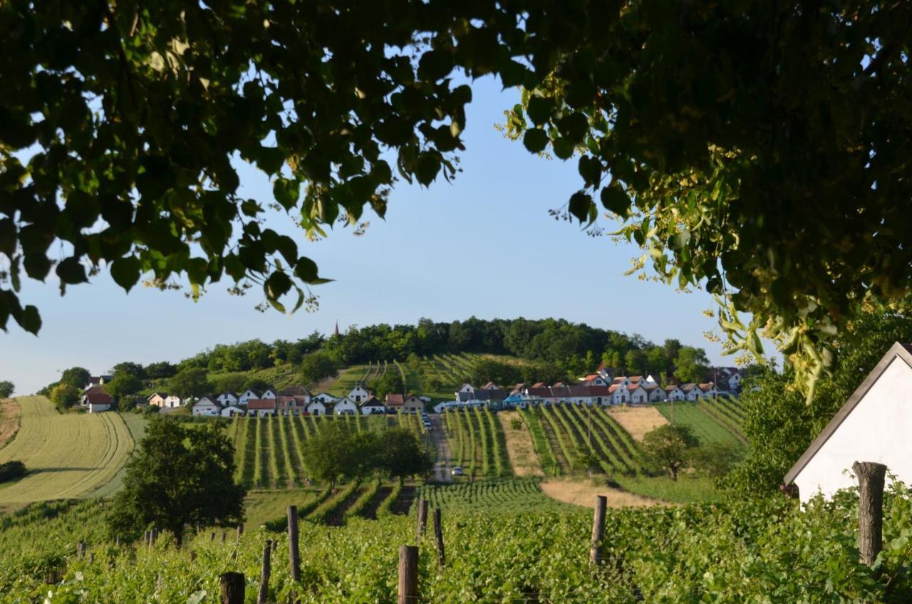 Ferienwohnung Herrmann Pottenhofen Exteriér fotografie